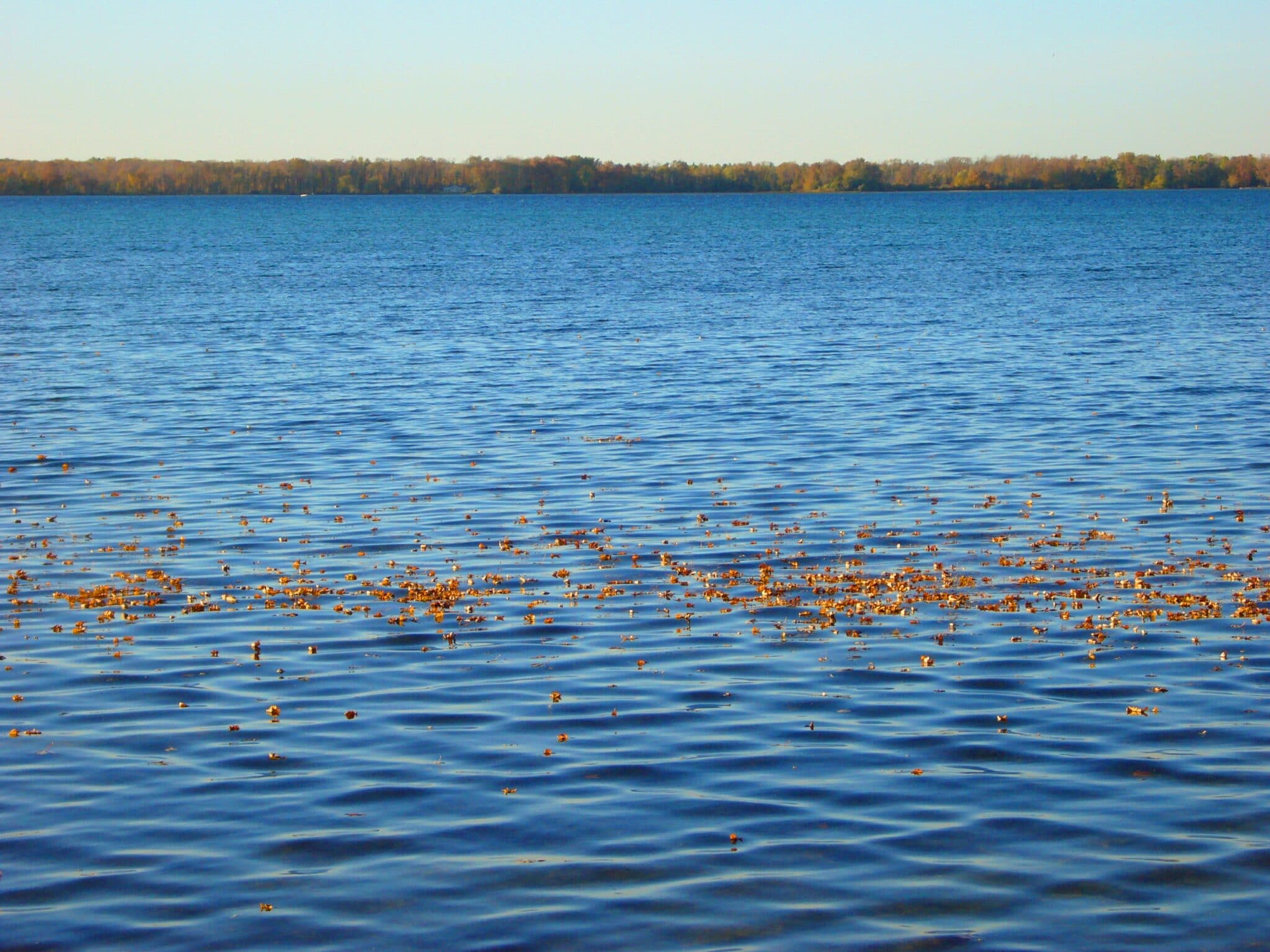 Explore Simcoe Simcoe Ontario cottages rentals Explore Simcoe Simcoe Ontario cottages rentals